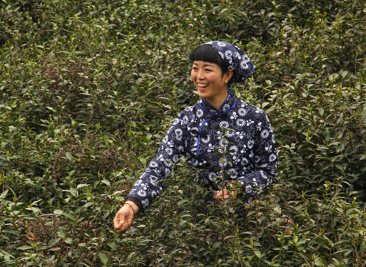 百丽短剧 我在古代当网红